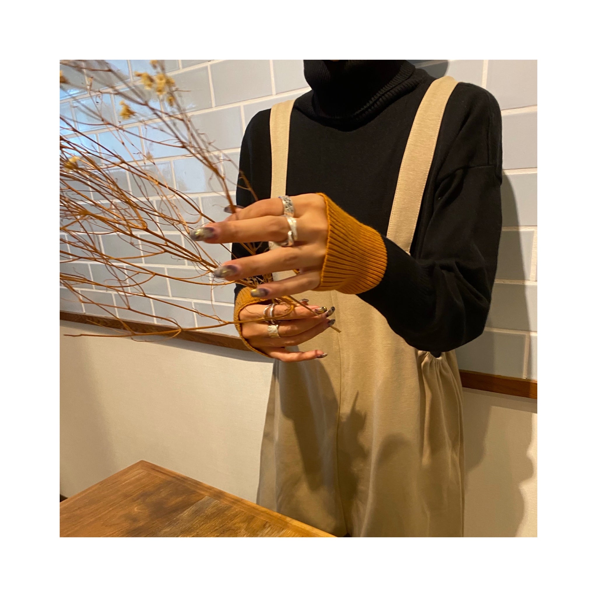 turtle pointcolorknit