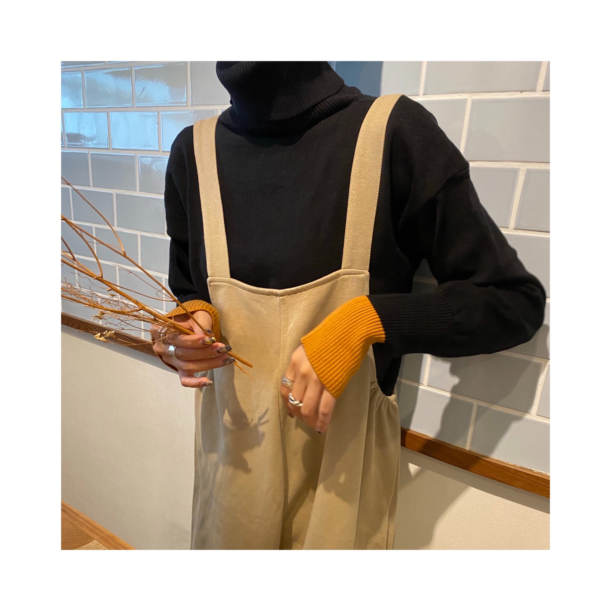 turtle pointcolorknit