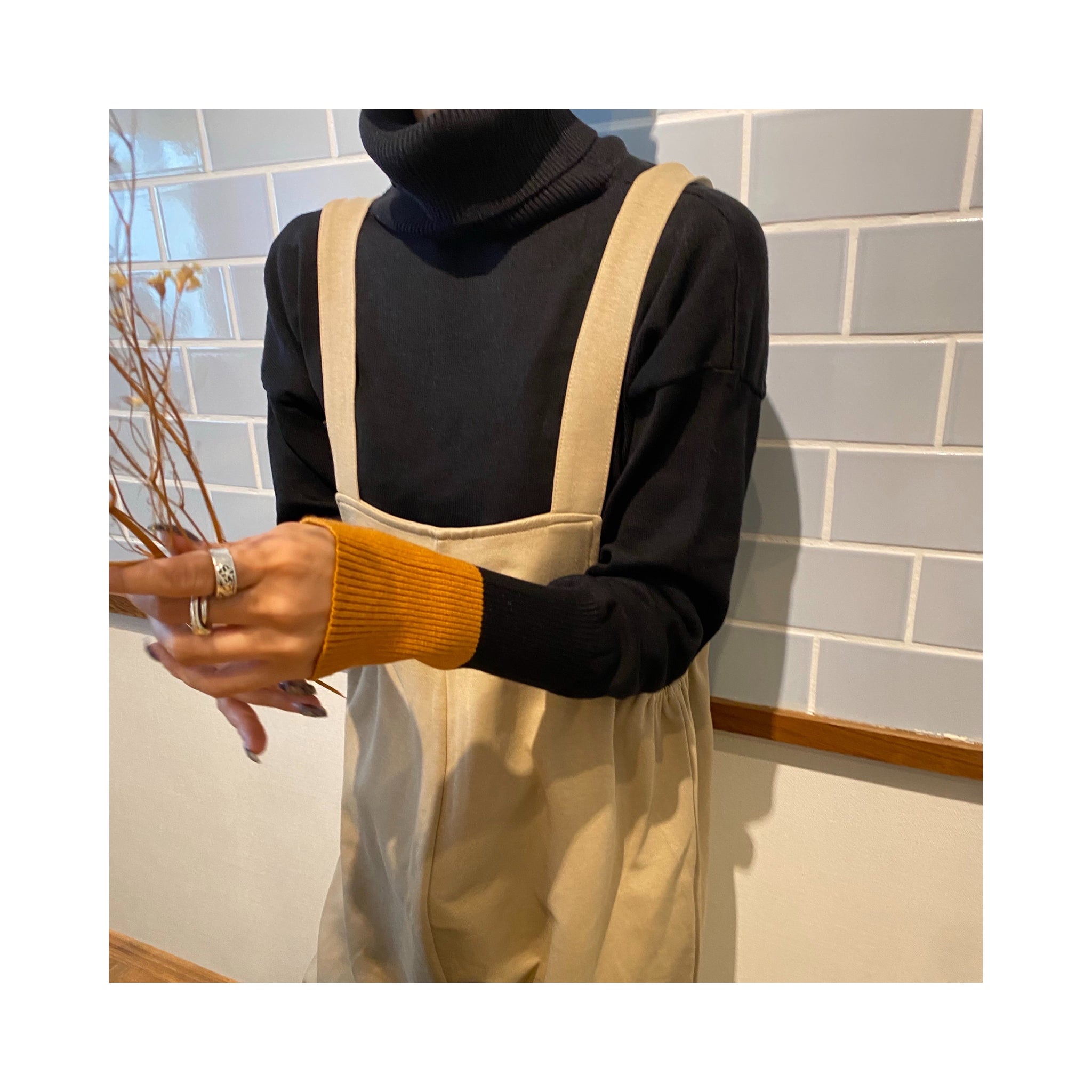 turtle pointcolorknit