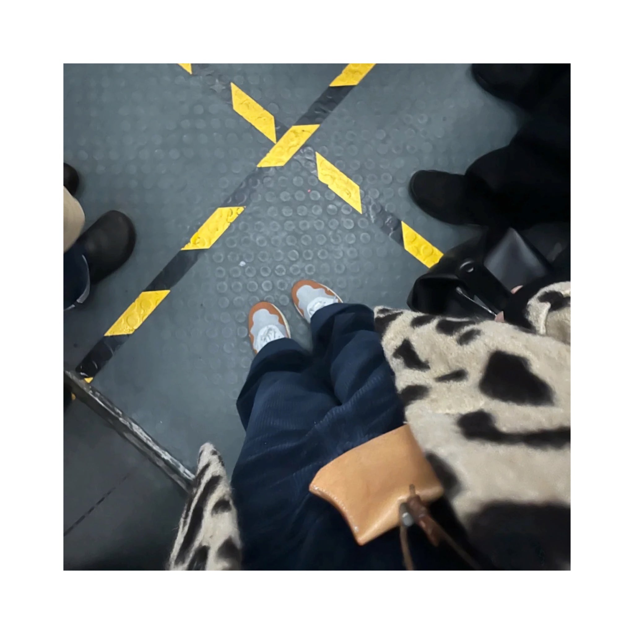 .wool leopard jacket